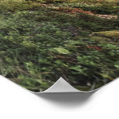 Poster Vue panoramique en soirée - Hordaland, Norvège (Coin)
