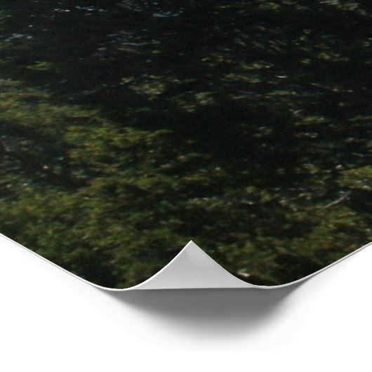 Poster Vue panoramique Pittoresque Mountain View (Coin)