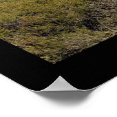 Poster Vue panoramique Silicon Valley Imprimer (Coin)