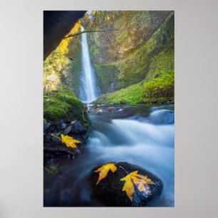 Poster Vue panoramique verticale de Tunnel Falls