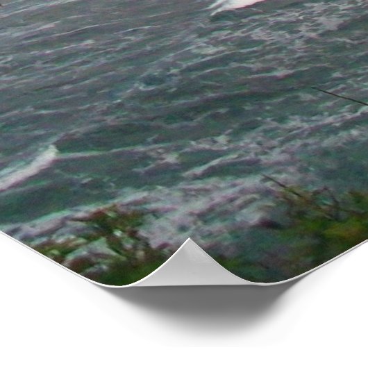 Poster Vue photo de l'arbre de plage de l'océan hawaïen (Coin)