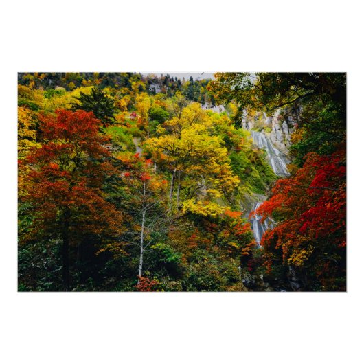 Poster Vue pittoresque de l'automne Hagoromo Falls Hokkai (Devant)