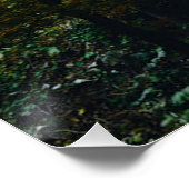 Poster Vue pittoresque de l'automne Hagoromo Falls Hokkai (Coin)