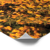 Poster Vue Plage De L'Oregon À Bandon (Coin)