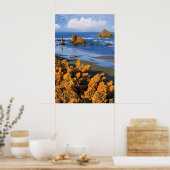 Poster Vue Plage De L'Oregon À Bandon (Cuisine)