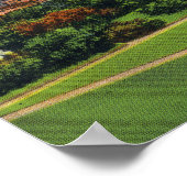 Poster Vue Plage présidentielle (Coin)