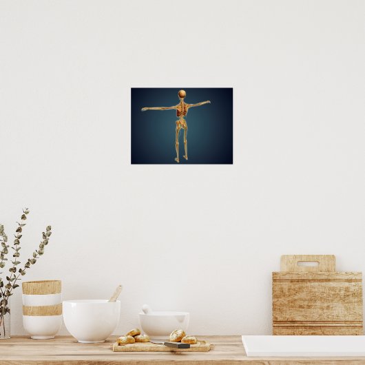 Poster Vue Précédente Du Squelette Humain Avec Système Ne (Cuisine)