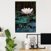Poster Vue rapprochée de nénuphar à Inle Lake (Bureau à domicile)