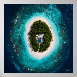 Poster Vue satellite de la villa de luxe de l'île ovale