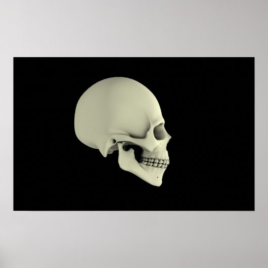 Poster Vue Secondaire Du Crâne Humain (Devant)
