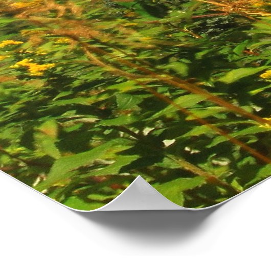 Poster Vue Sunapee du lac Mount Sunapee (Coin)