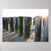 Poster Vue sur la mer - plage (Devant)