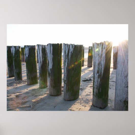Poster Vue sur la mer - plage (Devant)