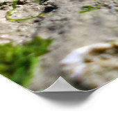 Poster Vue sur la mer - salutations de la mer (Coin)