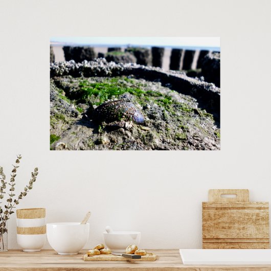 Poster Vue sur la mer - salutations de la mer (Cuisine)