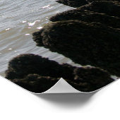 Poster Vue sur la mer - salutations de la plage (Coin)