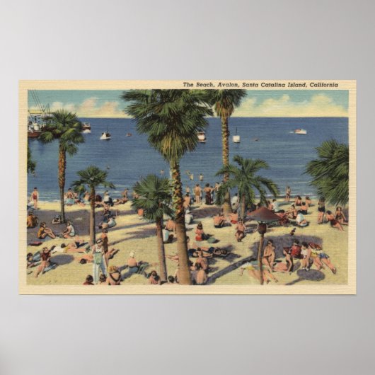Poster Vue sur la plage d'Avalon avec bains de soleil (Devant)