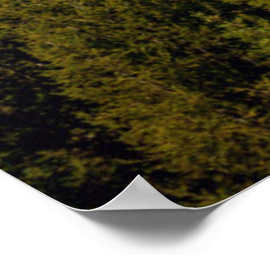 Poster Vue sur la rivière Snake | Parc national de Grand  (Coin)