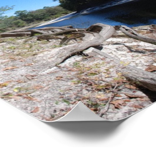 Poster Vue sur la rivière Suwannee (Coin)