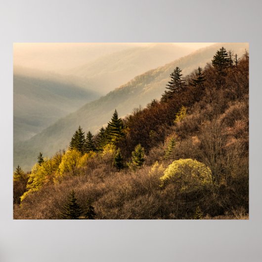 Poster Vue sur la vallée d'Oconaluftee | Caroline du Nord (Devant)