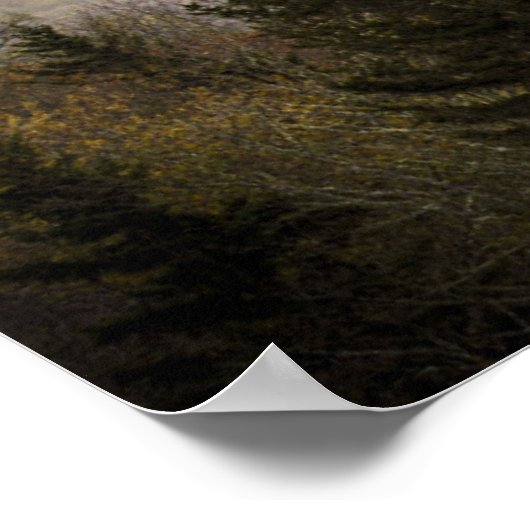 Poster Vue sur la vallée Oconaluftee | Caroline du Nord (Coin)