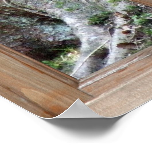 Poster Vue sur le bois à partir d'une fenêtre (Coin)