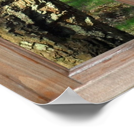 Poster Vue sur le bois depuis une fenêtre (Coin)