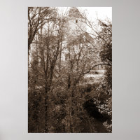 Vue Sur Le Château Depuis La Forêt