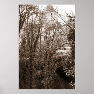 Poster Vue Sur Le Château Depuis La Forêt