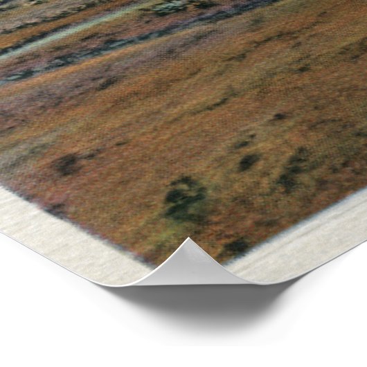 Poster Vue sur le désert de Mohave (Coin)