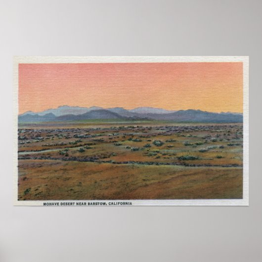 Poster Vue sur le désert de Mohave (Devant)