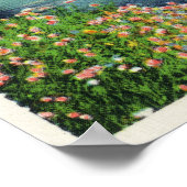 Poster Vue sur le fleuve Israël et la Rang présidentielle (Coin)