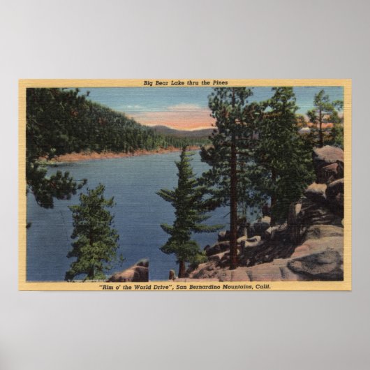 Poster Vue sur le lac à travers les pins (Devant)
