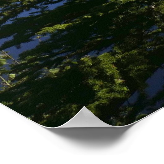 Poster Vue sur le lac Sprague (Coin)