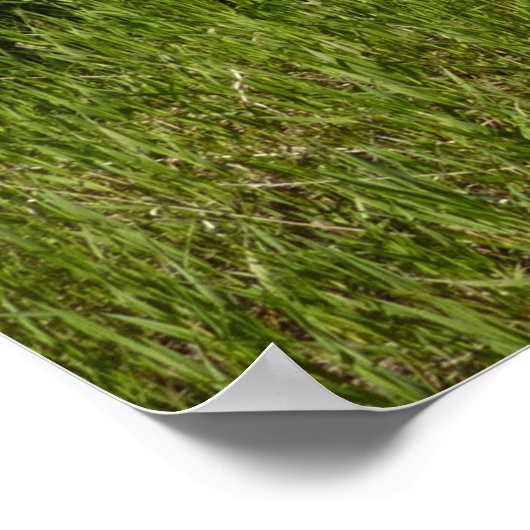 Poster Vue sur le lac Swiftcurrent du parc national des G (Coin)