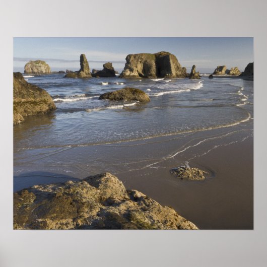 Poster Vue sur le littoral, Bandon, Oregon (Devant)