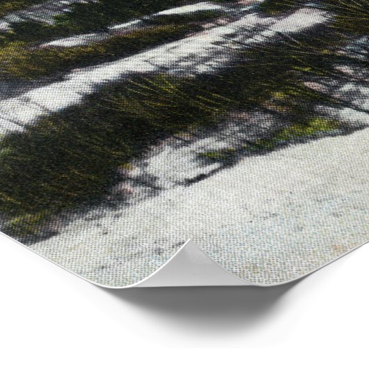 Poster Vue sur le mont Saddleback en hiver (Coin)