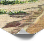 Poster Vue sur les dunes de sable de Cape Cod (Coin)