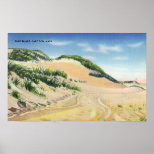 Poster Vue sur les dunes de sable de Cape Cod