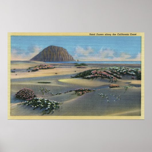 Poster Vue sur les dunes de sable le long de la côte (Devant)