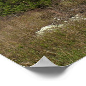 Poster Vue sur les écarts de Thornton au printemps (Coin)