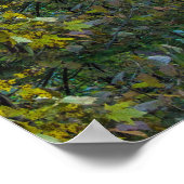 Poster Vue sur les gorges de Mohican, Mohican State Park, (Coin)