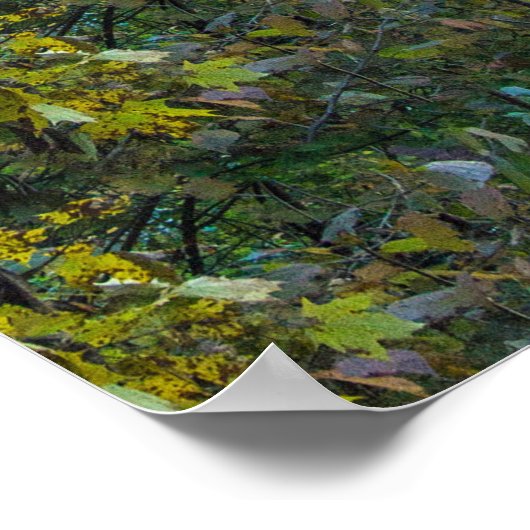 Poster Vue sur les gorges de Mohican, Mohican State Park, (Coin)