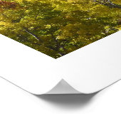 Poster Vue sur les Rocheuses du Colorado (Coin)