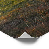 Poster Vue sur les Tatras depuis Spis (Coin)