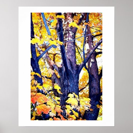 Poster Vue sur les troncs à l'automne (Devant)