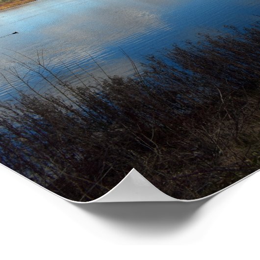 Poster Vue sur les zones humides (Coin)