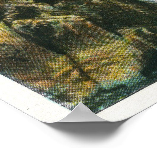 Poster Vue sur Split Rock Falls et Bridge (Coin)