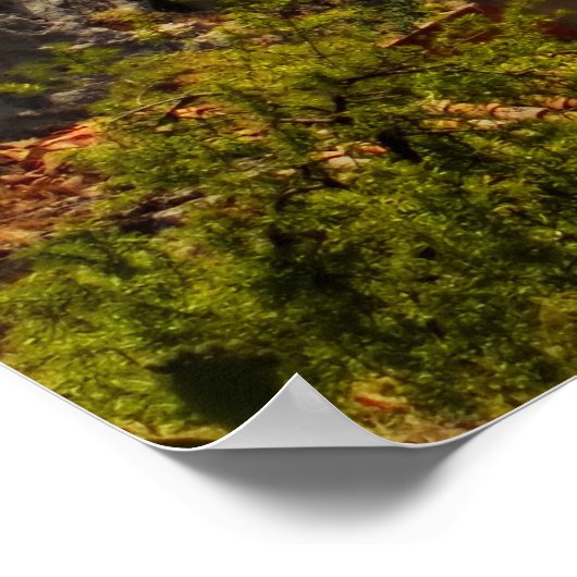 Poster Vue Taormina 3 (Coin)