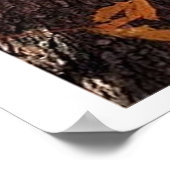 Poster Vue Troncs d'arborescence (Coin)